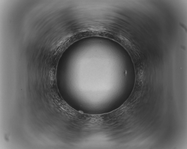 X0000101121110200806261429