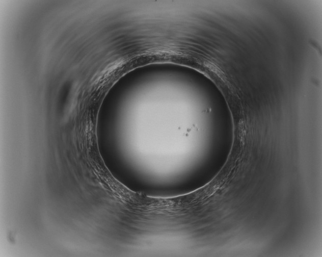 X0000101121111200806261429