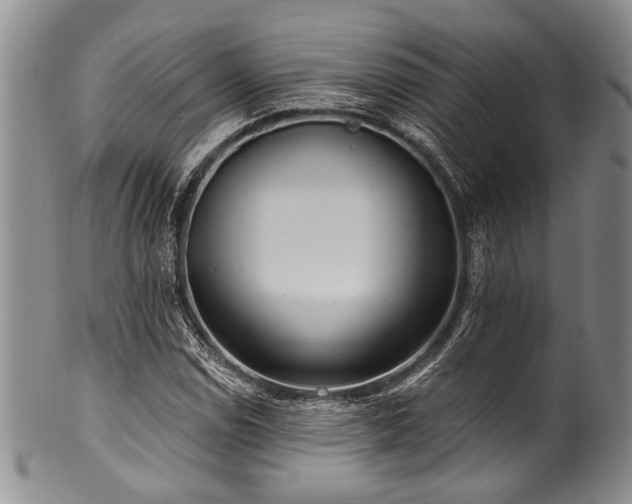 X0000101121114200806261429