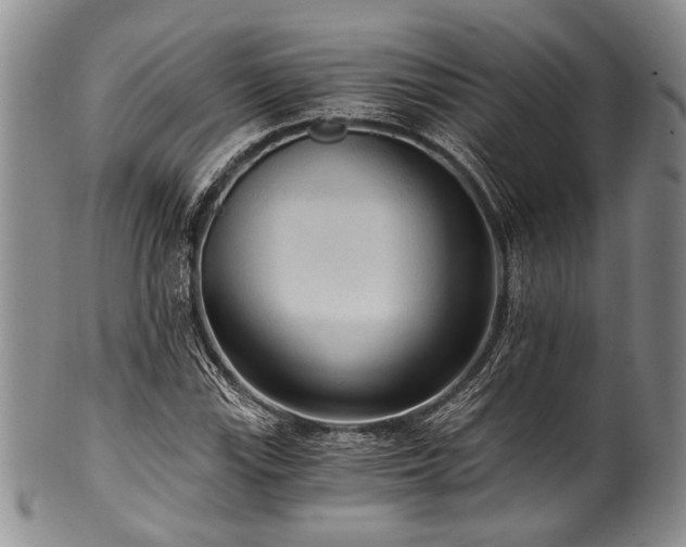 X0000101121115200806261429