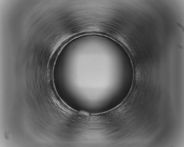 X0000101121116200806261429