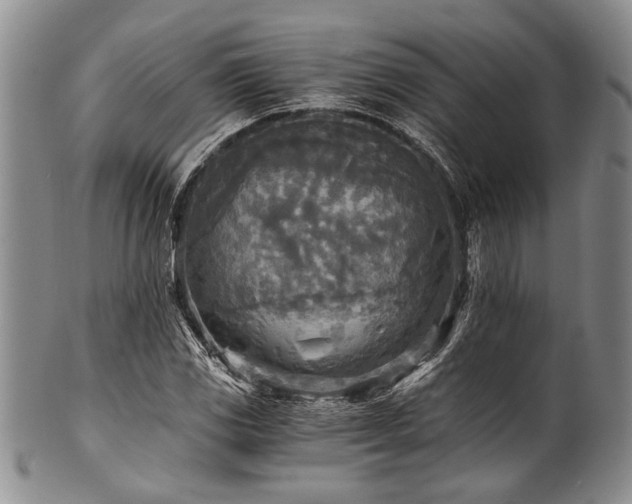 X0000101121117200806261429