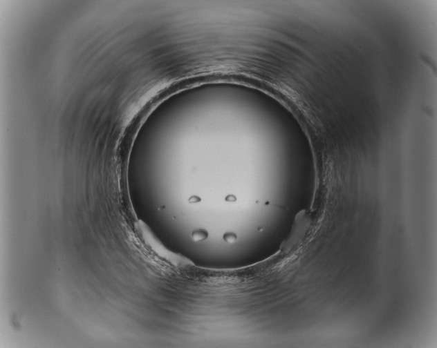 X0000101121118200806261429