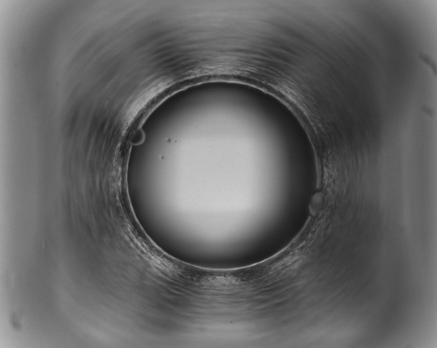 X0000101121119200806261429