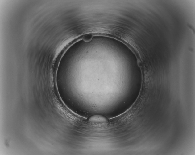 X0000101121120200806261429