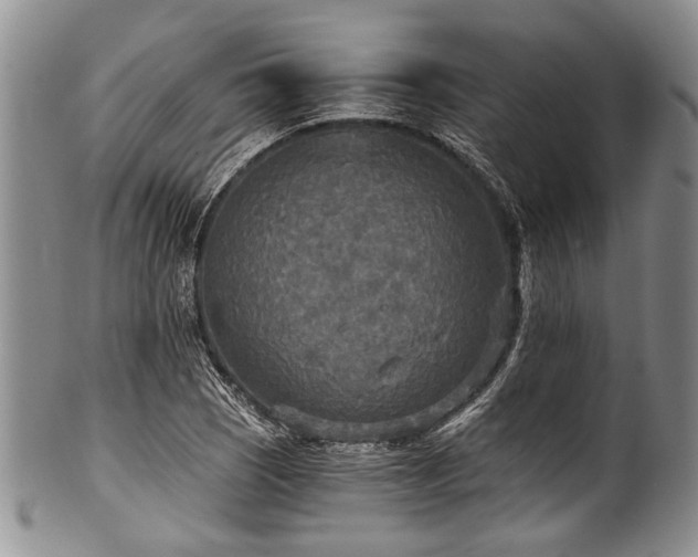 X0000101121121200806261429
