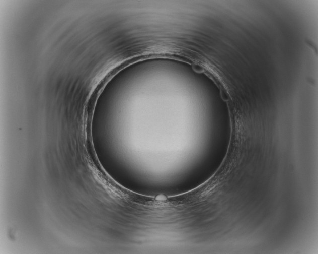 X0000101121124200806261430