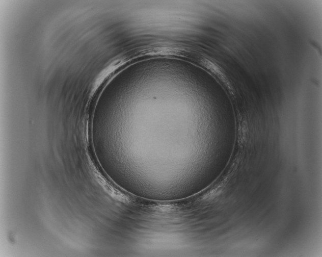X0000101121130200806261430