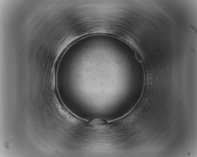 X0000101121132200806261430