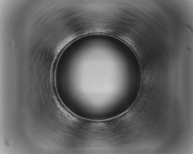 X0000101121135200806261430