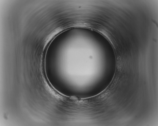 X0000101121139200806261430