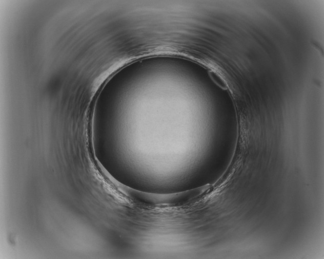 X0000101121142200806261430