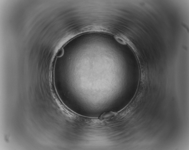X0000101121144200806261430
