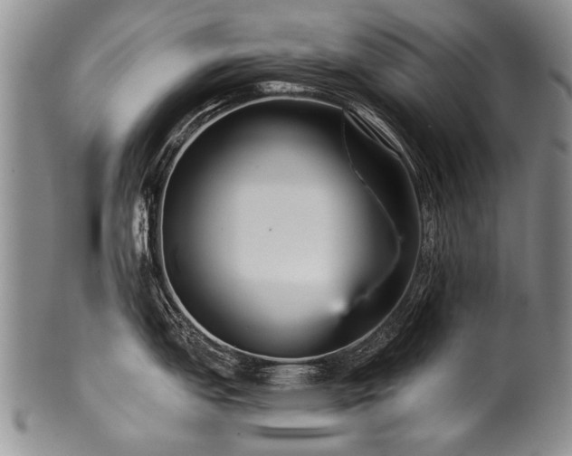 X0000101121151200806261430