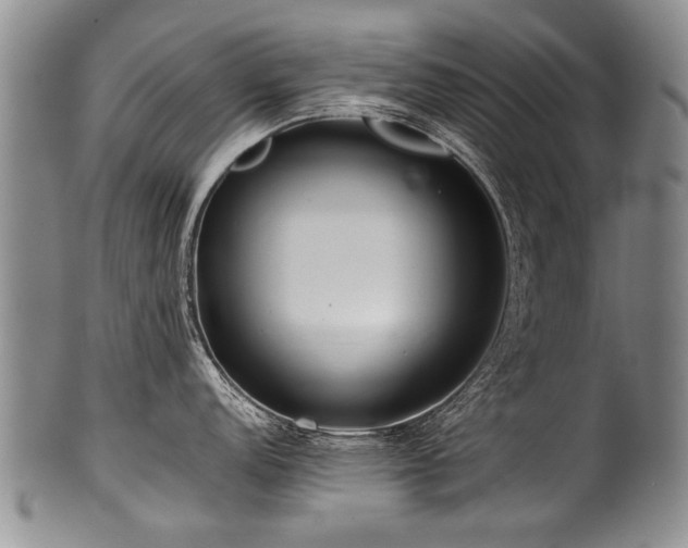 X0000101121152200806261430