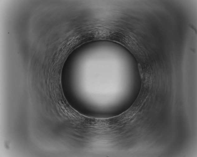 X0000101121153200806261429
