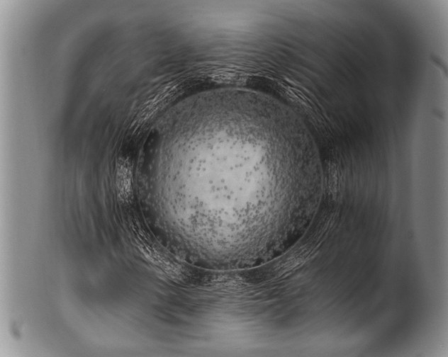 X0000101121154200806261429