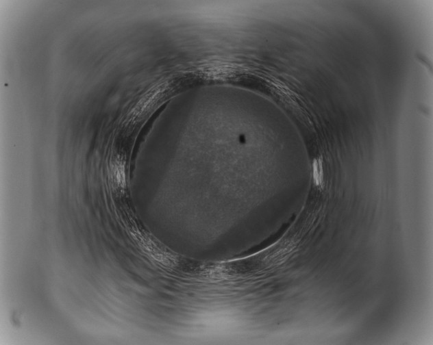 X0000101121155200806261429