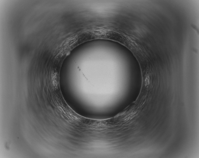 X0000101121156200806261429