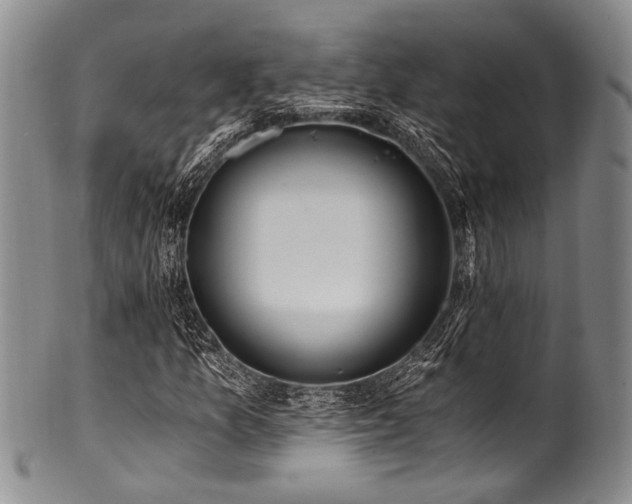 X0000101121157200806261429