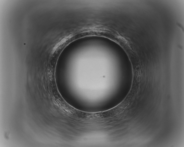 X0000101121159200806261429