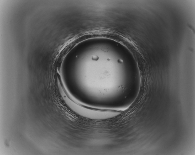 X0000101121160200806261429