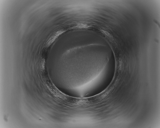 X0000101121161200806261429