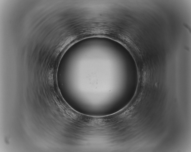 X0000101121162200806261429