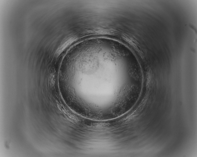 X0000101121163200806261429