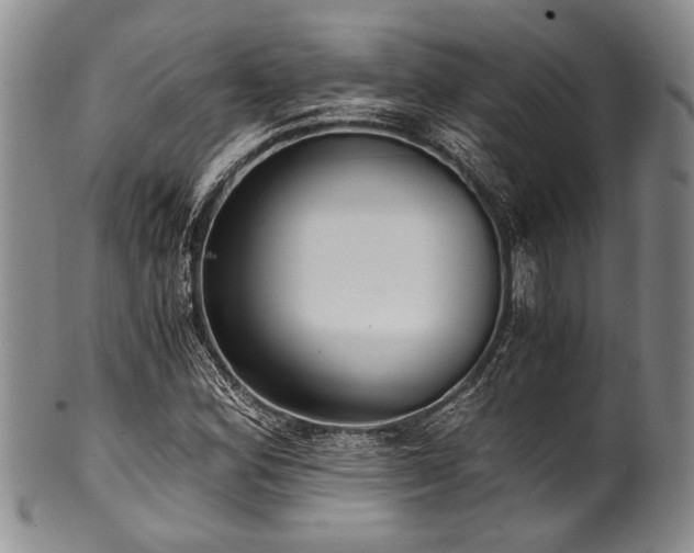 X0000101121164200806261429