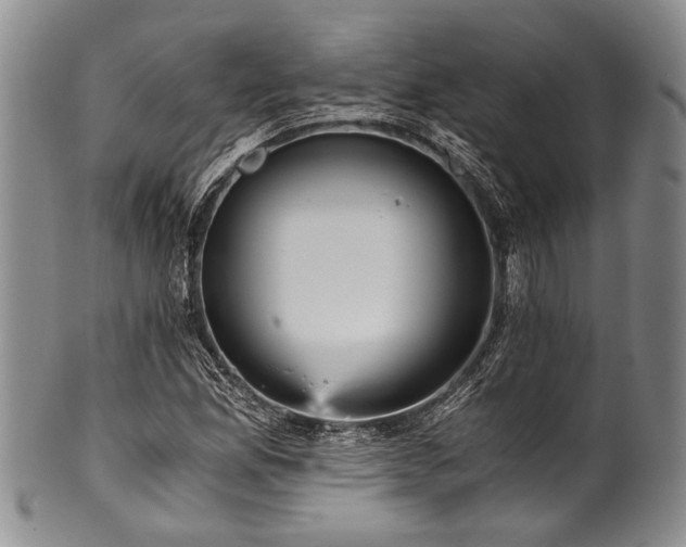 X0000101121165200806261429