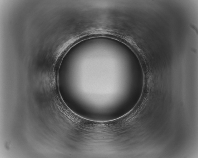 X0000101121167200806261429