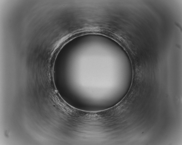 X0000101121168200806261429