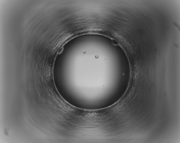 X0000101121169200806261429