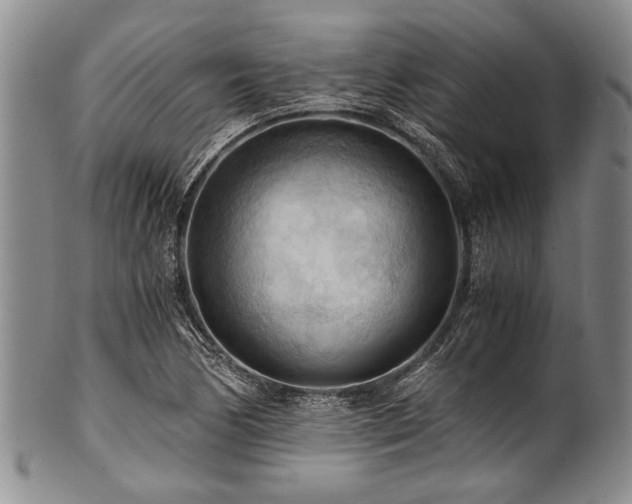 X0000101121170200806261429