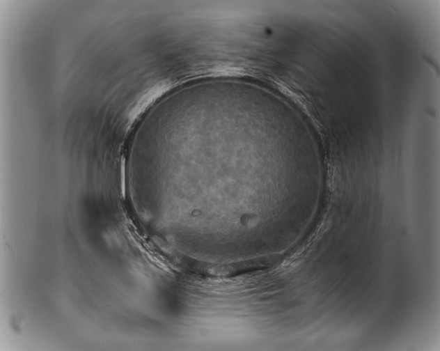 X0000101121171200806261429
