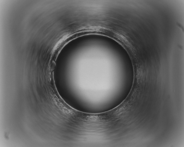 X0000101121172200806261429