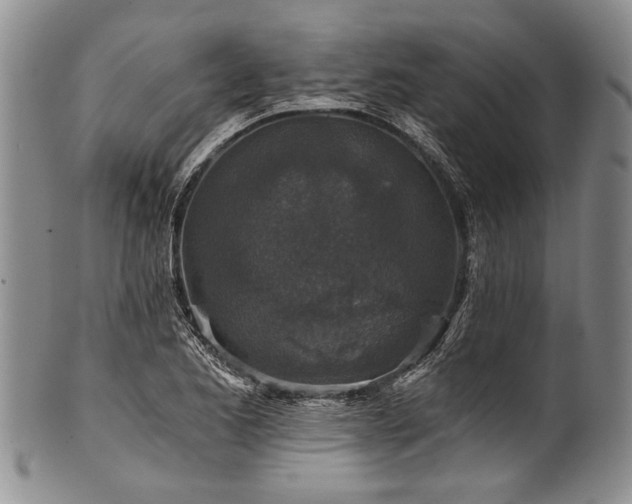 X0000101121173200806261429
