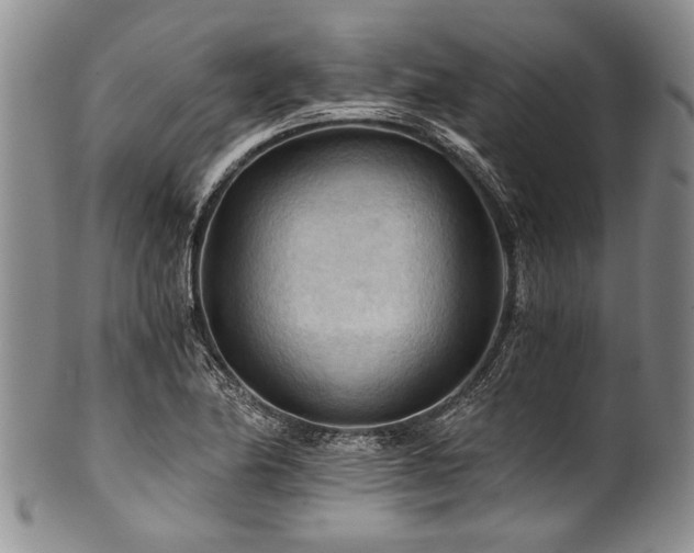 X0000101121174200806261429