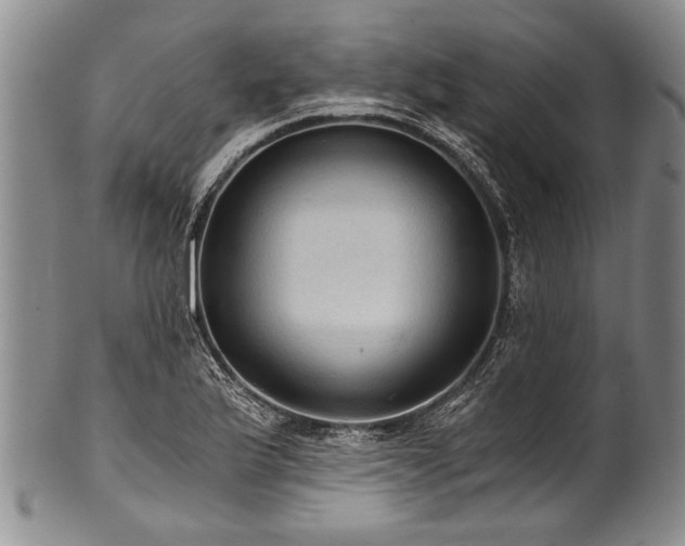 X0000101121175200806261429