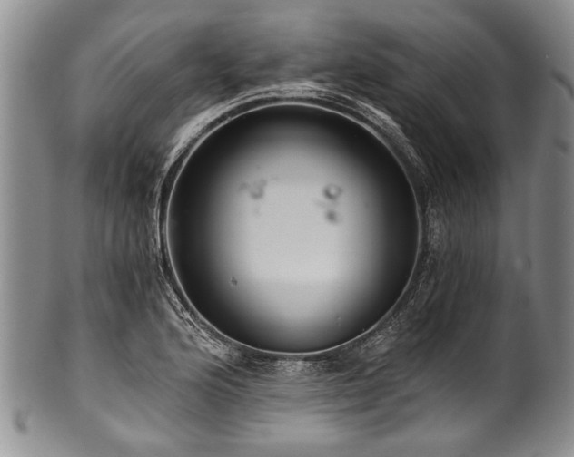 X0000101121176200806261429