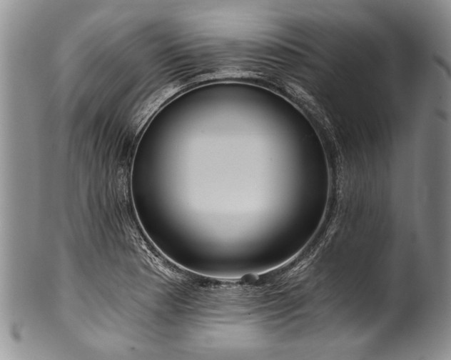 X0000101121177200806261429