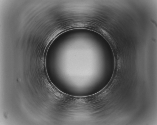 X0000101121178200806261429