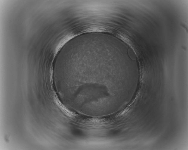 X0000101121179200806261429
