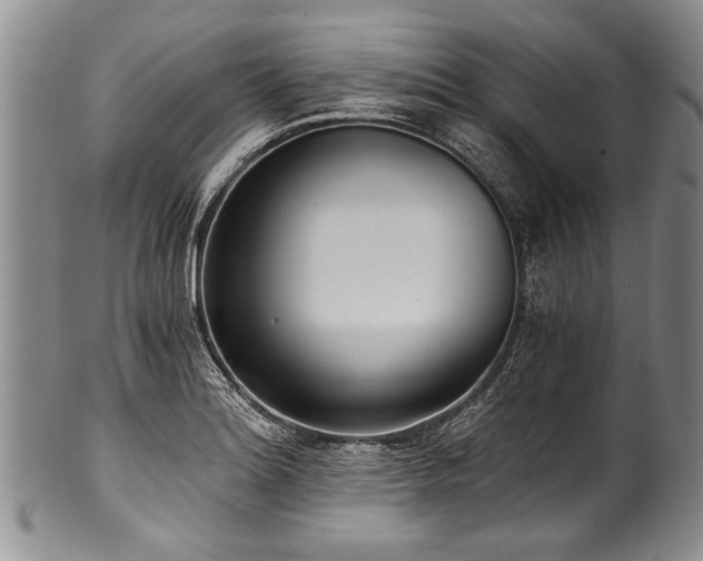 X0000101121180200806261429