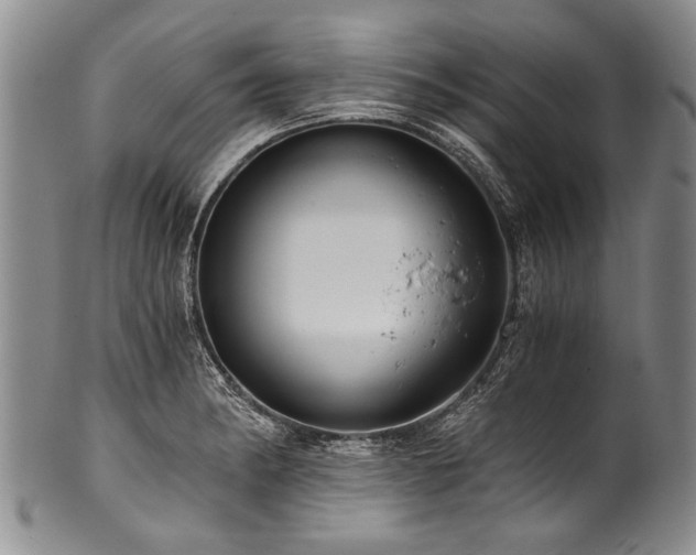 X0000101121182200806261429