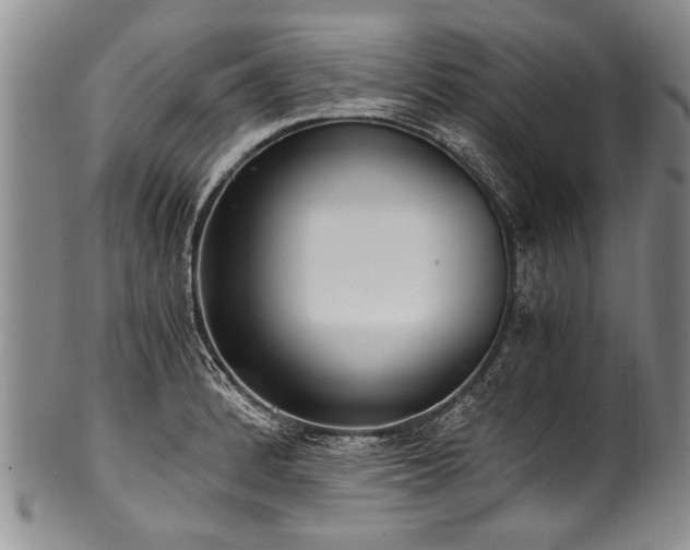 X0000101121184200806261429