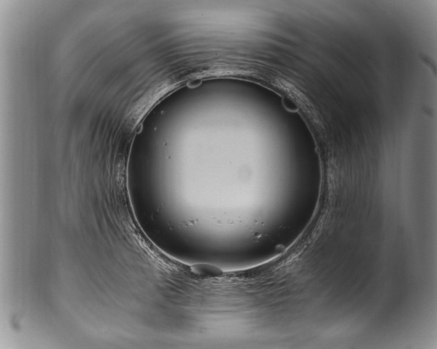 X0000101121185200806261429