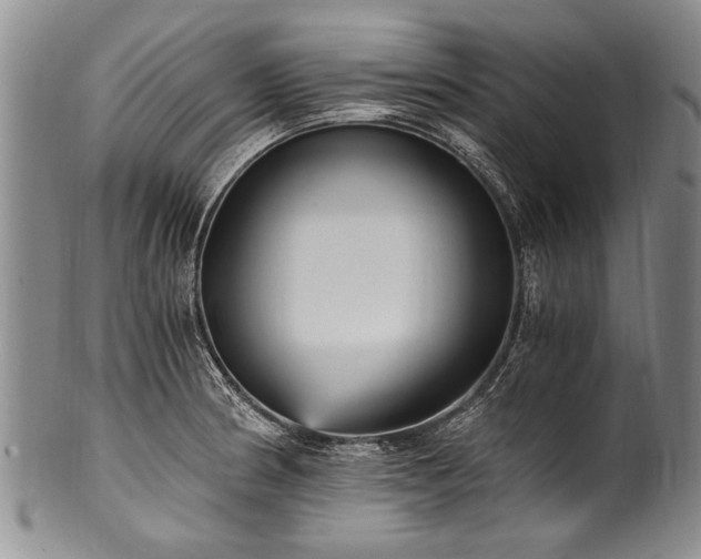 X0000101121186200806261429
