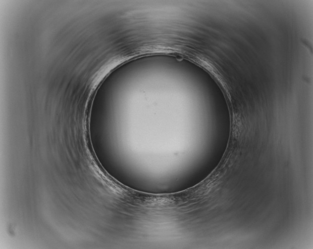 X0000101121187200806261429